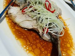 清蒸鲈鱼-简小舍·民间手艺菜(武昌江滩店)