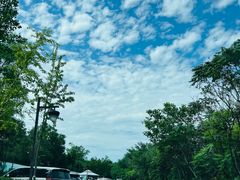 -济南野生动物世界