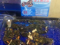 -东江海鲜酒家(艺都分店)