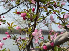 -杭州湾海上花田景区