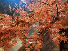 -邵汇大虾火锅(鲁迅路店)