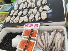 -大湾区中央湿地公园-十九涌