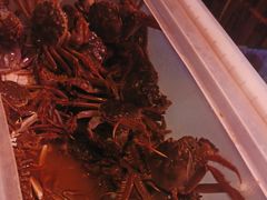 -领鲜活海鲜榴莲自助火锅(东门店)