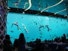 -瑞德姆美人鱼海底演艺主题餐厅(亚龙湾店)