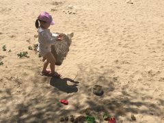 -北戴河东海水浴场