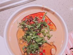 料碗-海底捞火锅(老城根店)