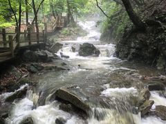 -本溪汤沟绿石谷森林公园
