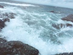 -Cafe Aewol Monsant