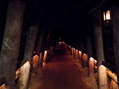 -疏芬山金矿