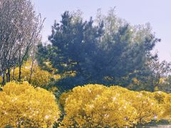 -东升八家郊野公园