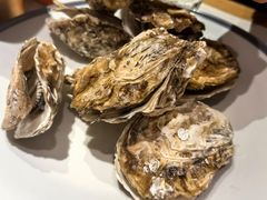 -杨氏青龙虾·羊蝎子(托乐嘉店)