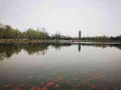 -西海子公园