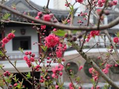 -南园(太仓市)