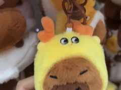 -酷乐潮玩(颛桥万达店)