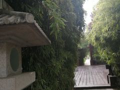-西安曲江寒窑遗址公园