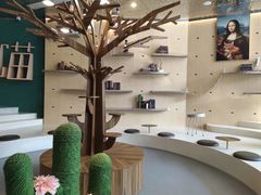 -飞行喵MR PILOT|猫舍·猫咖(静安大融城店)