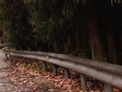 -东白山