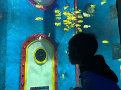 -大连圣亚海洋世界