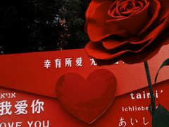 -闽江夜游台江旅游码头