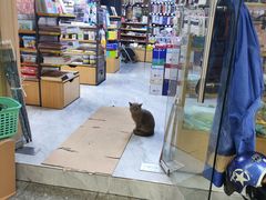 -晨光文具