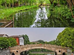 -溱湖国家湿地公园