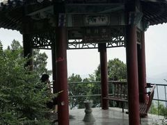 -抱犊崮国家森林公园