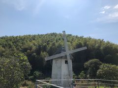 -宁波浙东大竹海景区