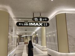 -英皇电影城(平安金融中心IMAX激光店)