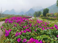 -万峰林风景区