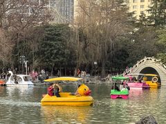 -西苑公园