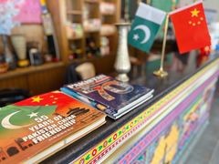 -Sultan pakistan苏单巴基斯坦