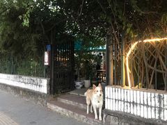 -豆舞咖啡(民乐路店)