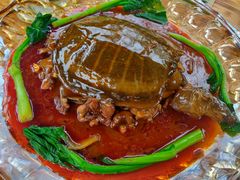 甲鱼-青城甲(青城山店)