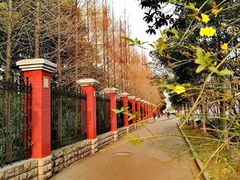 -复旦大学光华楼