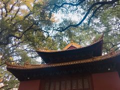 -普陀山风景名胜区-法雨禅寺