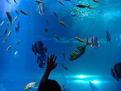 -太平洋海底世界