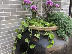 -顺德渔村·岭南一号