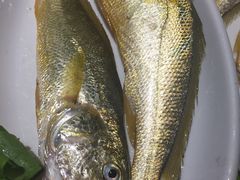 -开鑫鱼厂·宁波海鲜(前程智慧城店)