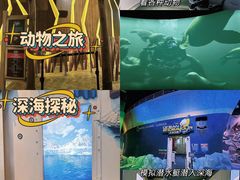 -珠海横琴国家地理探险家中心(创新方)