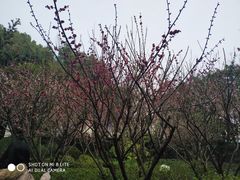 -汇龙潭