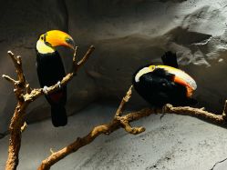 -Zoolung Zoolung动物主题公园(海信广场店)