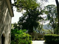 android_upload_pic-国恩寺