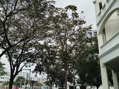 -三亚市第二中学