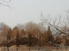 -黄村公园