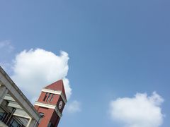 -小李子油焖大虾(天下城旗舰店)