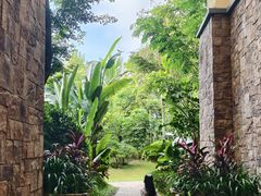 -西双版纳融创皇冠假日度假酒店