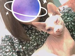 -猫小院猫主题餐厅(三里屯店)