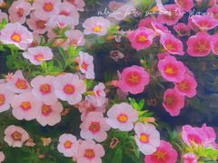 -东平国家森林公园
