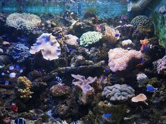 -左海海底世界
