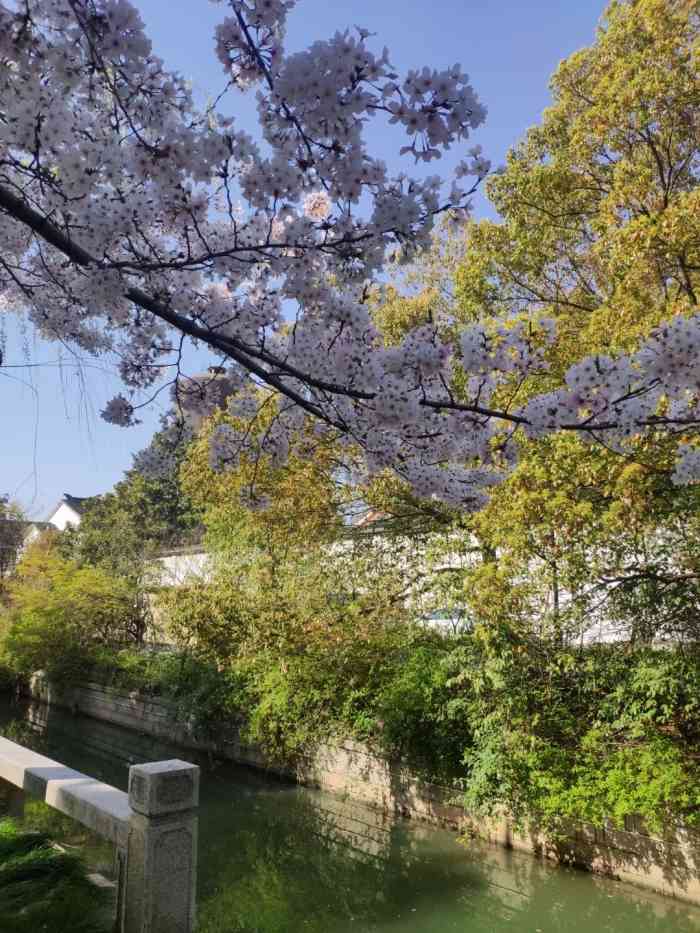 百花洲公园-"刚刚小气的时候就听到咕噜咕噜咕噜咕噜的声.